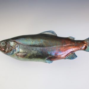 Salmon