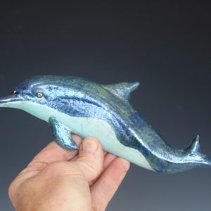 Bottlenose Dolphin